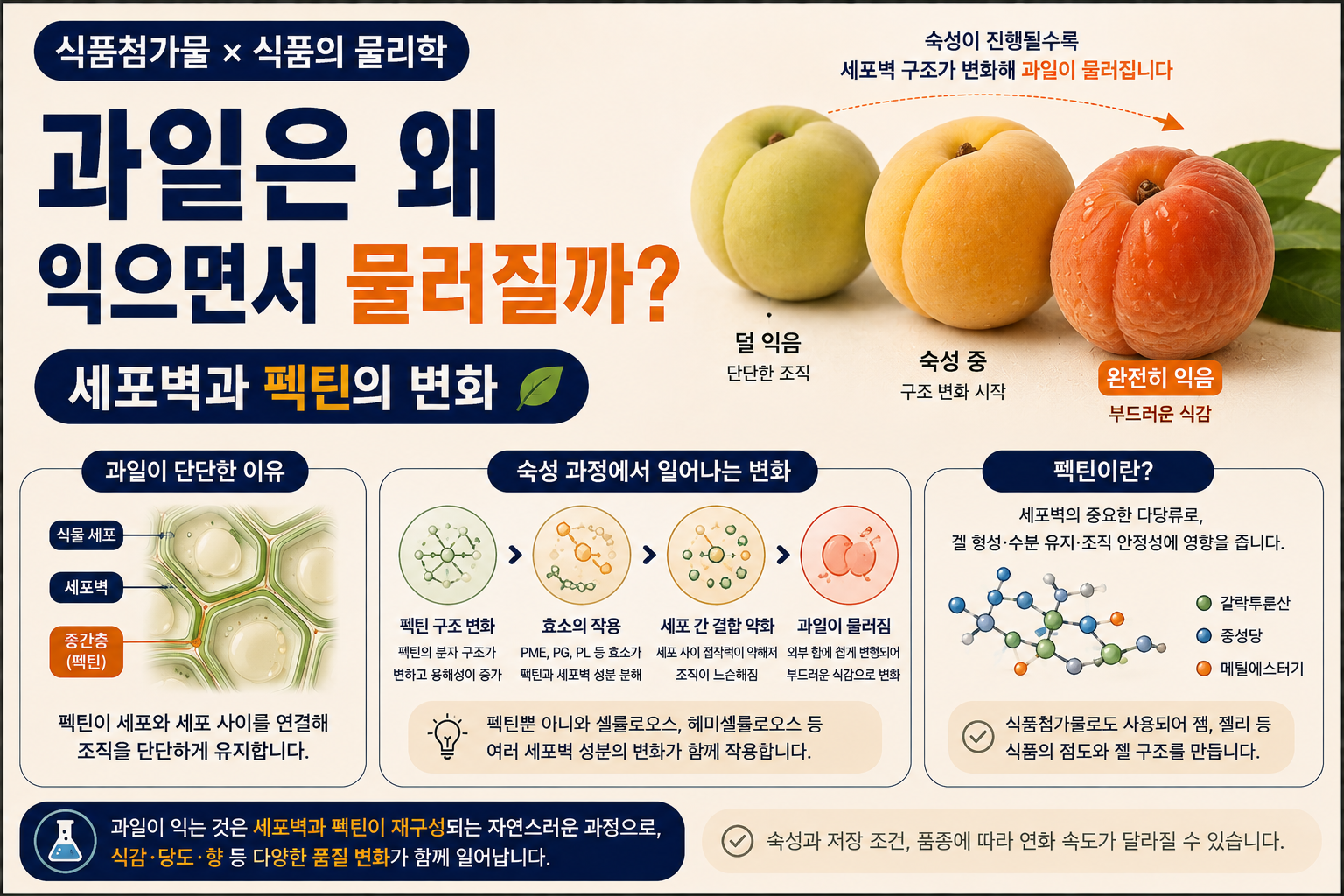 과일 썸네일